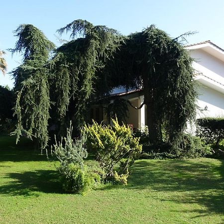 Villa Paradiso Le Rughe Buitenkant foto